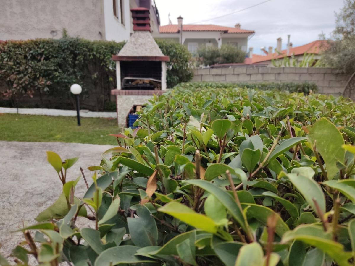 Vila Elina House Nikiti  Exteriér fotografie